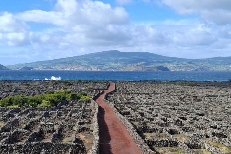 Pico Island highlights - Private tour (+ optional wine tasting)
