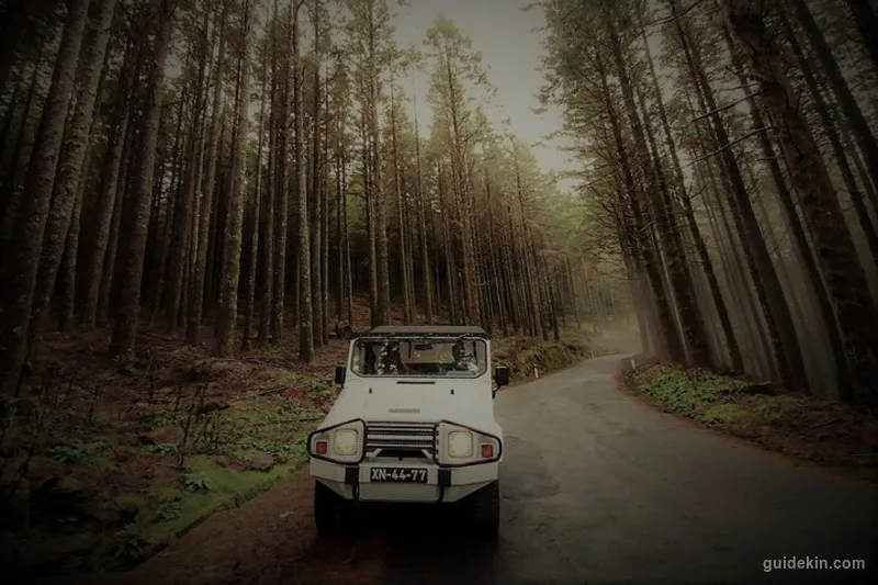 4x4 Jeep Tour to East & Northeast of Madeira 