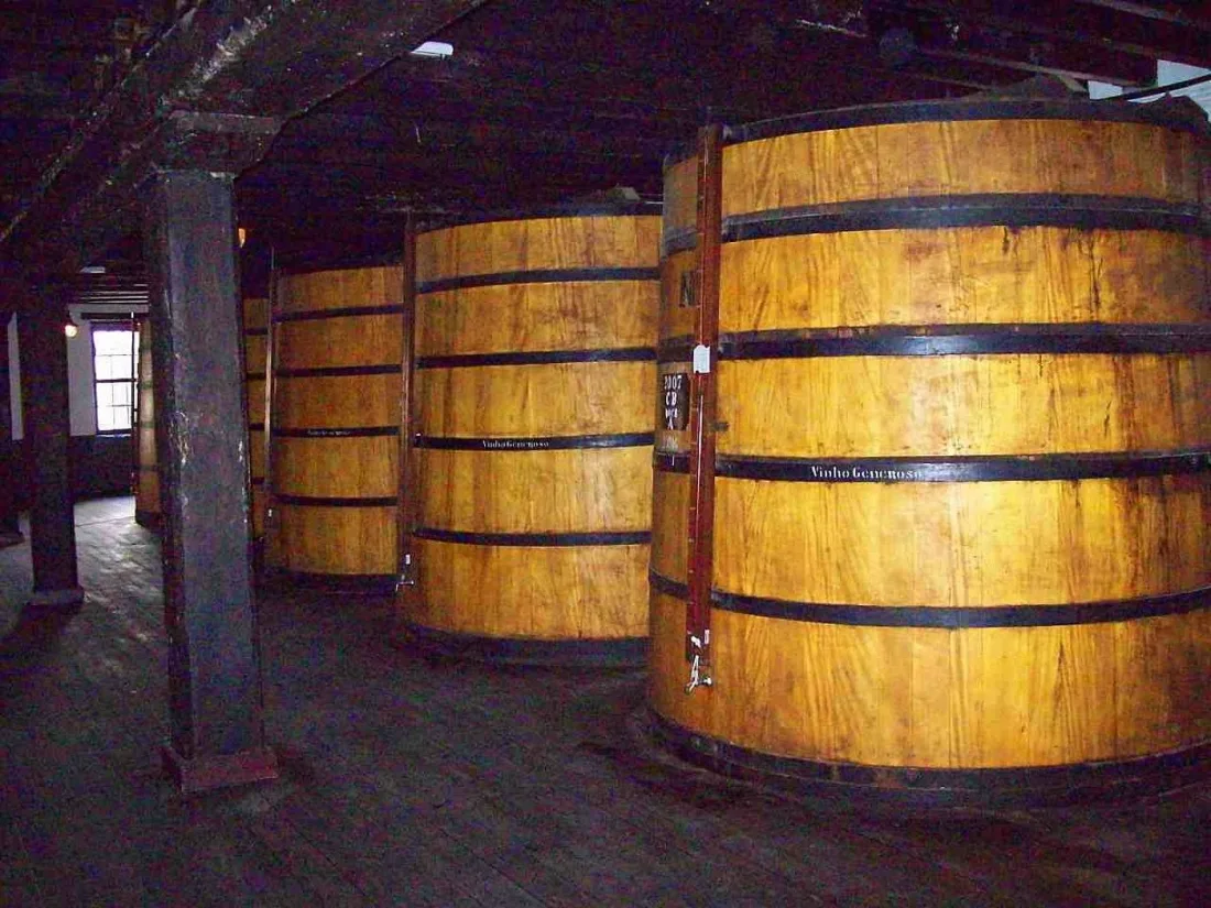 Giant satinwood vats aging Madeira wine inside the Old Blandy Wine Lodge