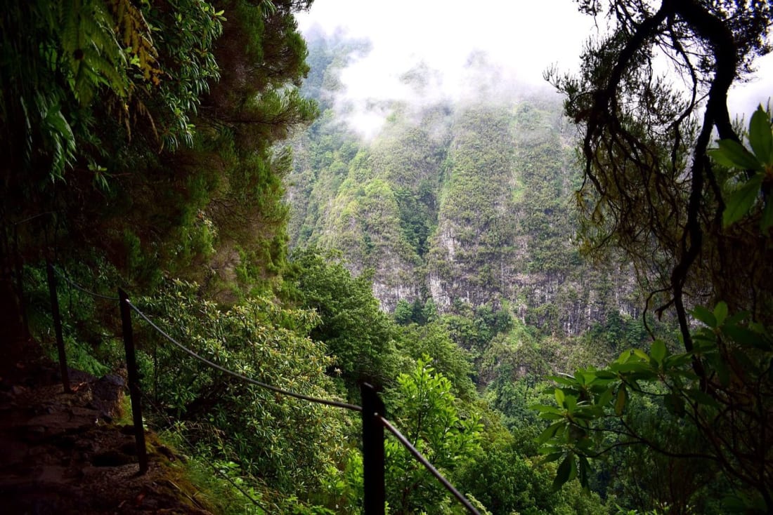 The Levada do Caldeirão Verde path along the green valley wall, Madeira