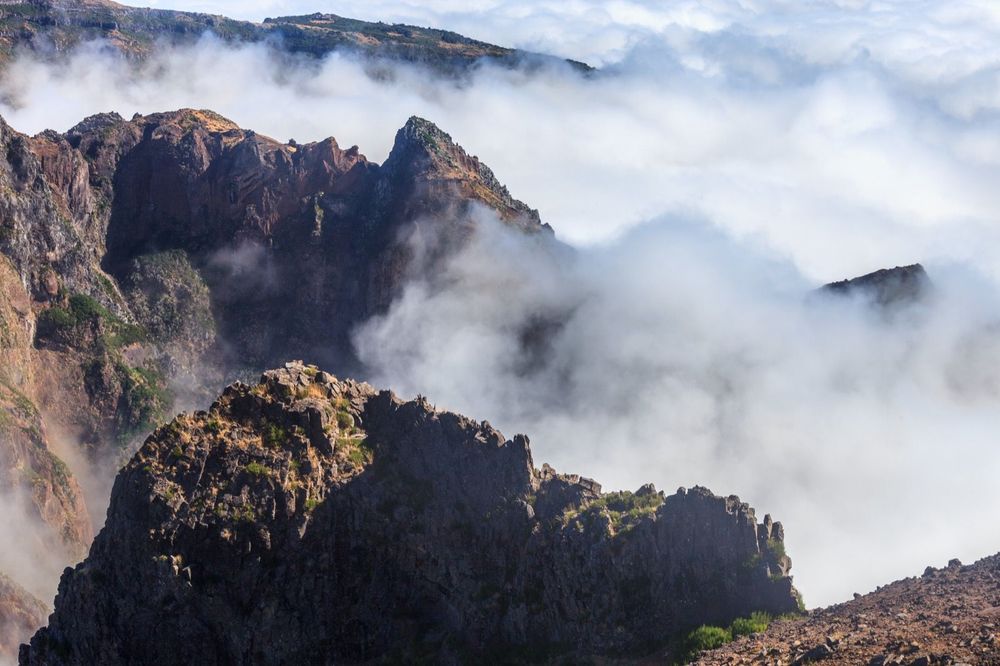 Things to Do in Madeira: A Local's Guide for 2026