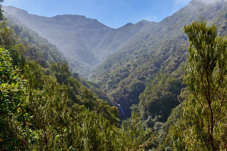 Madeira Levada Walks: A Local's Guide to the Island's Trails (2026)