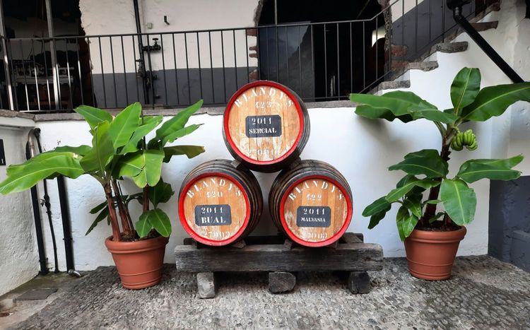 Madeira Wine: A Local's Guide to the Island's Famous Fortified Wine (2026)